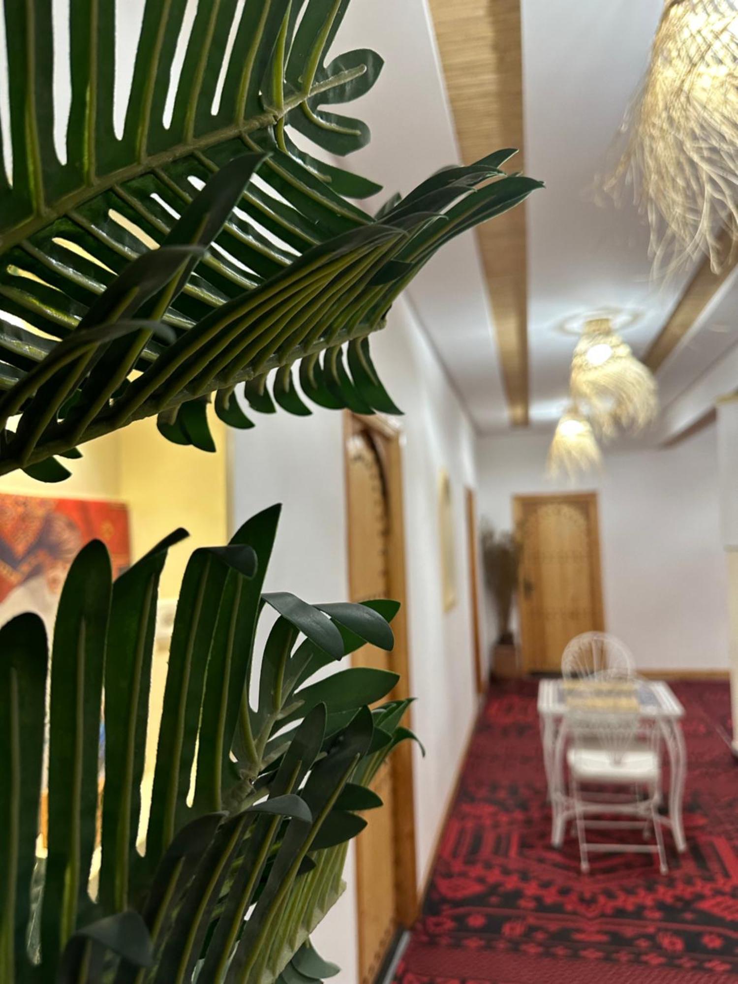 Riad Dreams Dades Tamellalt  Luaran gambar